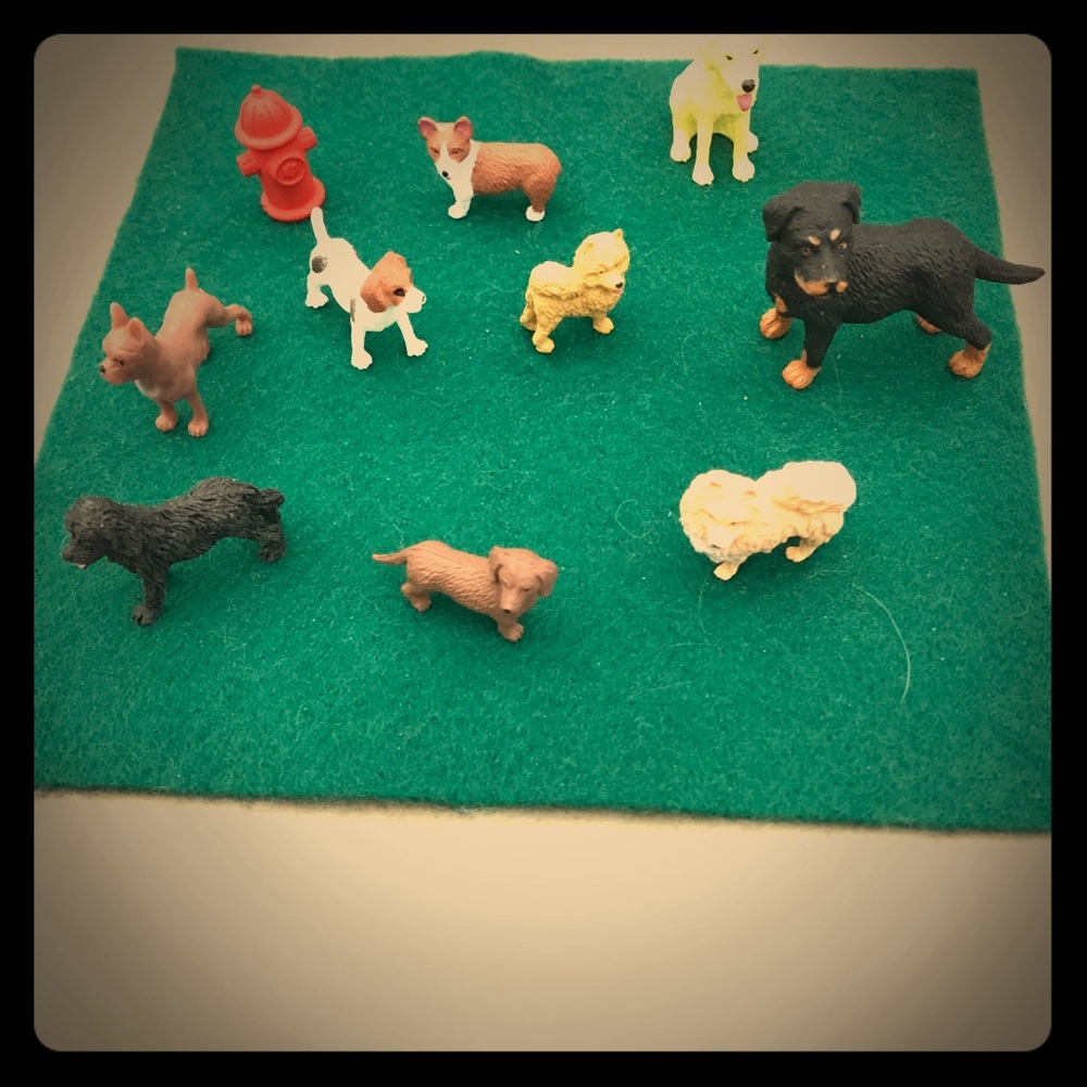 Tiny dog park